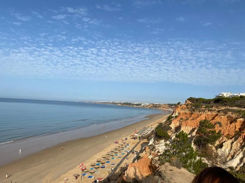 Penthouse T2 Pool Terrace Time Apartment Albufeira 0*,